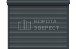 Промышленные рулонные ворота 2500×4500 ВЭ-2220